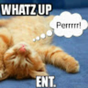 Meet your Posher, Whatz upper